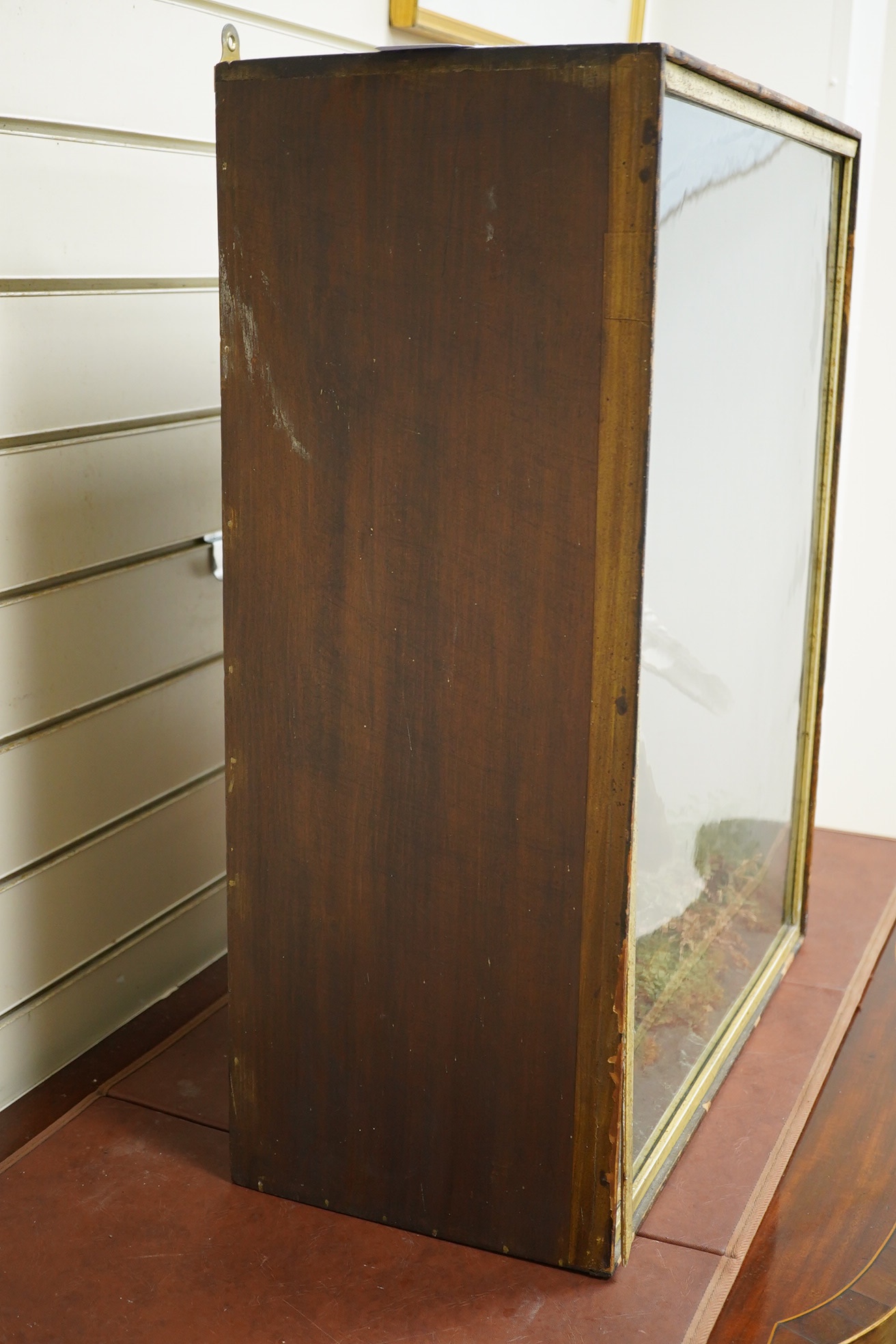 F. Jeffreys, a cased taxidermic female hen harrier, 68cm high x 55cm wide. Condition - fair to good